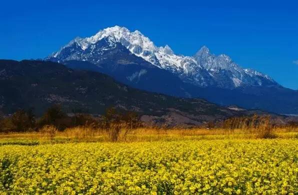 银川出发1-七天短途自驾旅游推荐,银川出发5天自驾攻略