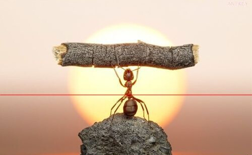 简历封面怎么做比较好,简历封面制作详细教程