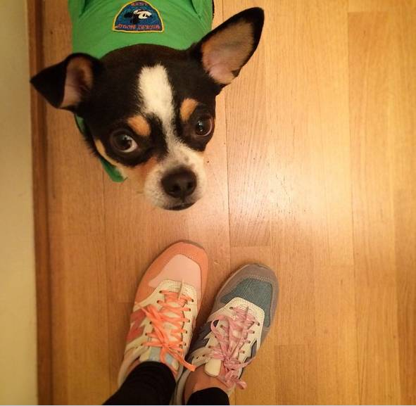 余文乐公开恋情了吗,小仪余文乐