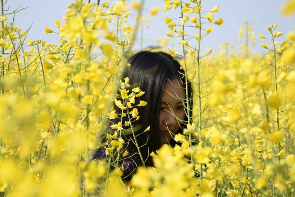 春天去婺源5天自驾游攻略,追随春的脚步