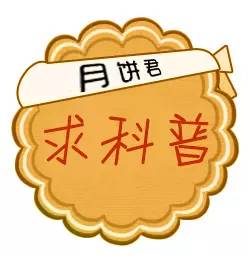 跨境邮寄月饼这件事，你知道多少？