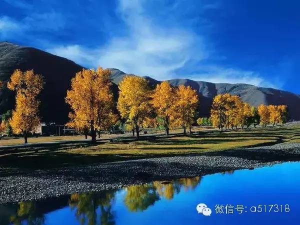 现在成都到拉萨最佳路线,成都到拉萨路线攻略图