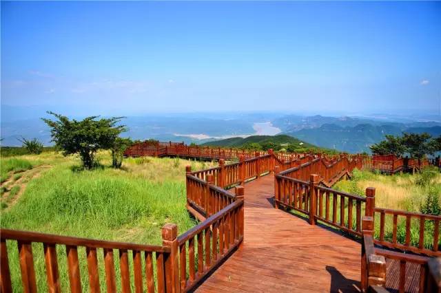 洛阳明天有哪些景点开放,洛阳必去的三个景点免费开放