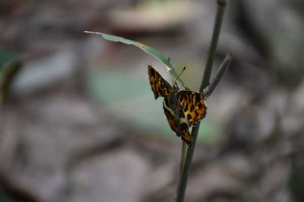 春天去婺源5天自驾游攻略,追随春的脚步