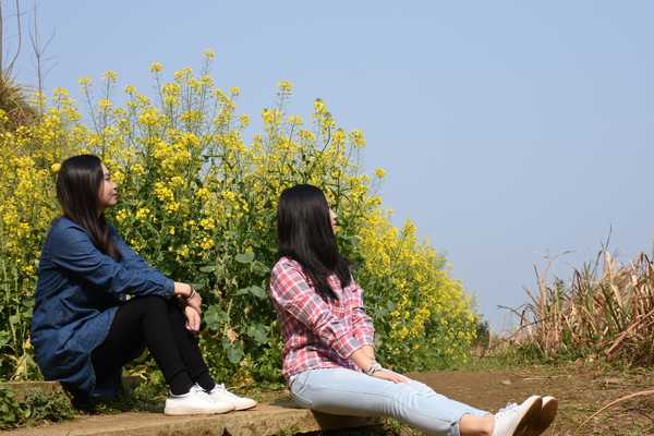 春天去婺源5天自驾游攻略,追随春的脚步