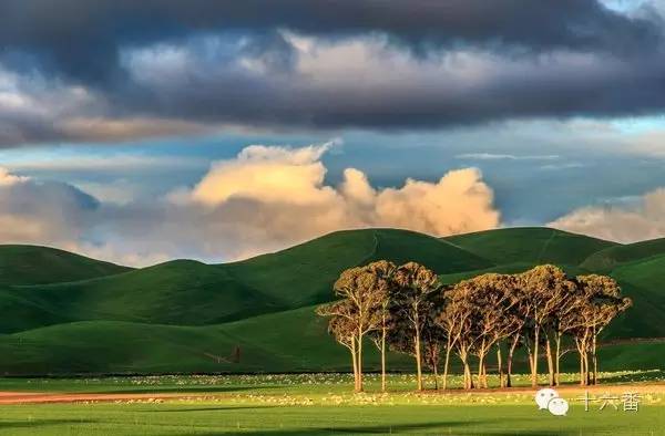 随手一拍都是一个风景视频,随手一拍就是一幅油画