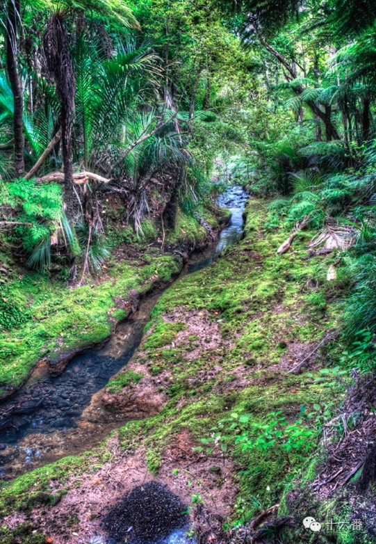 随手一拍都是一个风景视频,随手一拍就是一幅油画