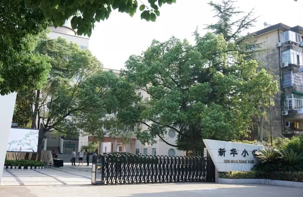 柯城这三所特色文化学校，请你来投票啦！