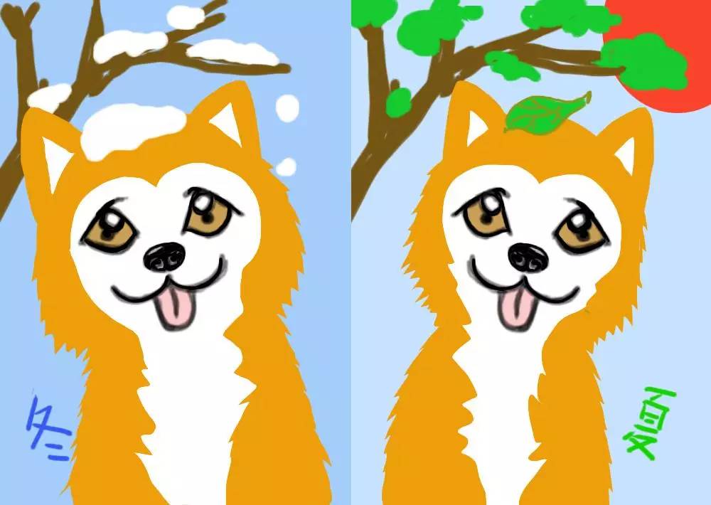 家里毛毛怎么彻底清除,家里毛毛比较多怎么才能拖干净