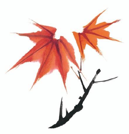 苹果反人类交互,苹果反人类操作