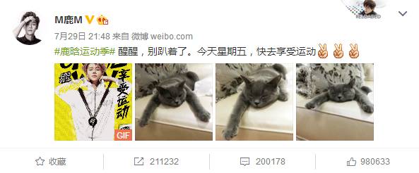 鹿晗放下爱情搞事业,鹿晗和现在的小鲜肉对比