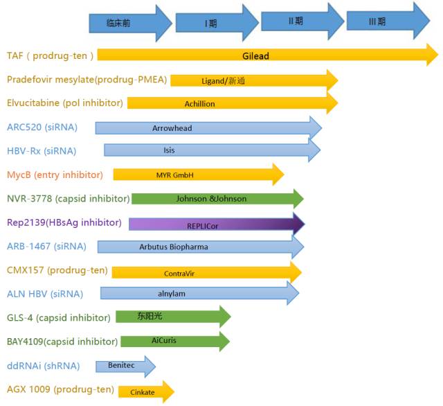 乙肝长期服用抗病毒药物能否转阴,乙肝基因b型适合哪种药物抗病毒