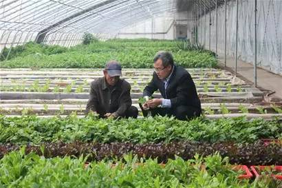 山东今后发展规划,不得了山东话