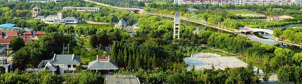 山东今后发展规划,不得了山东话