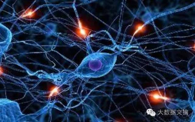 脑科学与类脑智能研究院专家,获批国家脑科学与类脑研究项目