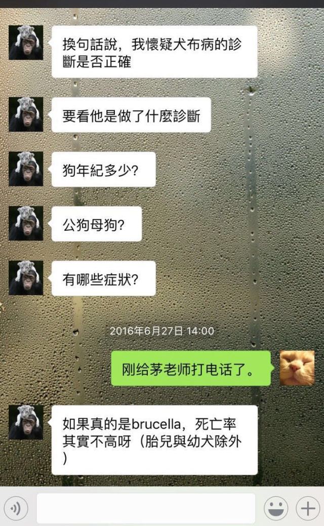 别让试纸草率地夺去猫狗的命！