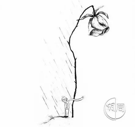 小王子最深度解读,小王子深度解析