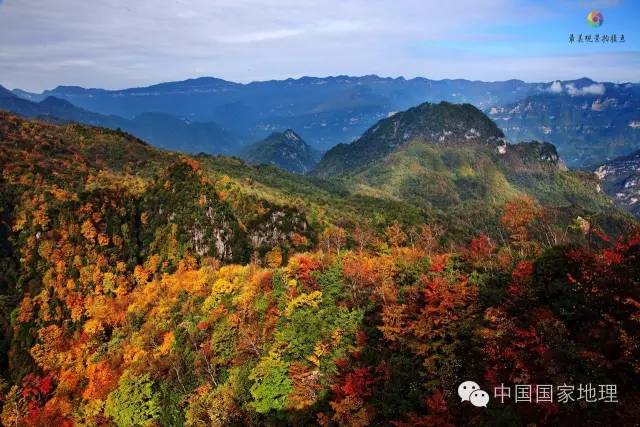 寻找一抹秋色,寻找不一样的质感