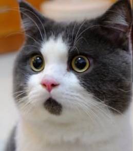 听到消息后心里很难受,贵阳市区最新消息