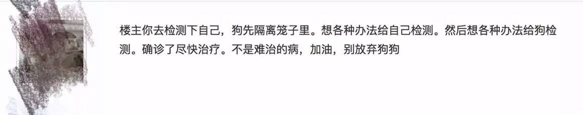 别让试纸草率地夺去猫狗的命！