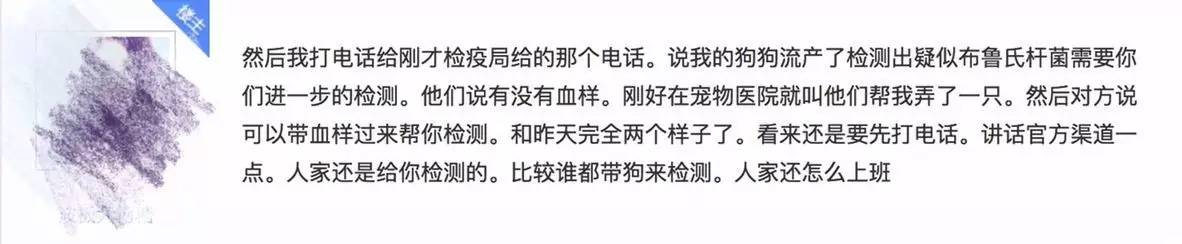 别让试纸草率地夺去猫狗的命！