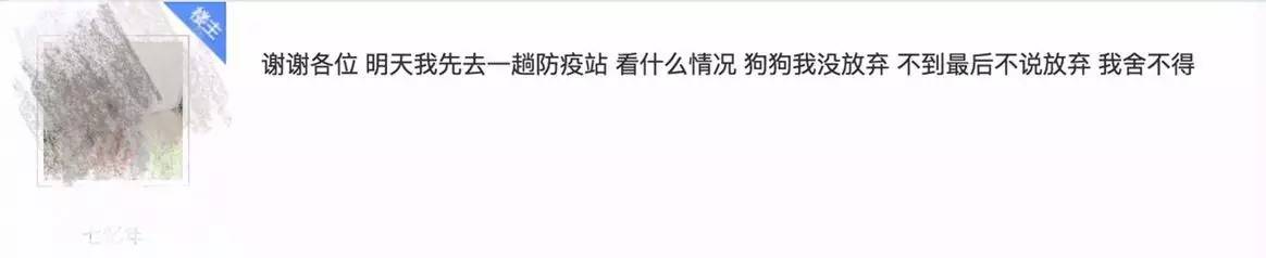 别让试纸草率地夺去猫狗的命！