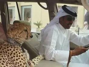 去迪拜旅游是落地签吧,迪拜必买表