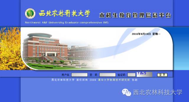 2016六月份英语四级,2020年下半年英语四六级考试成绩