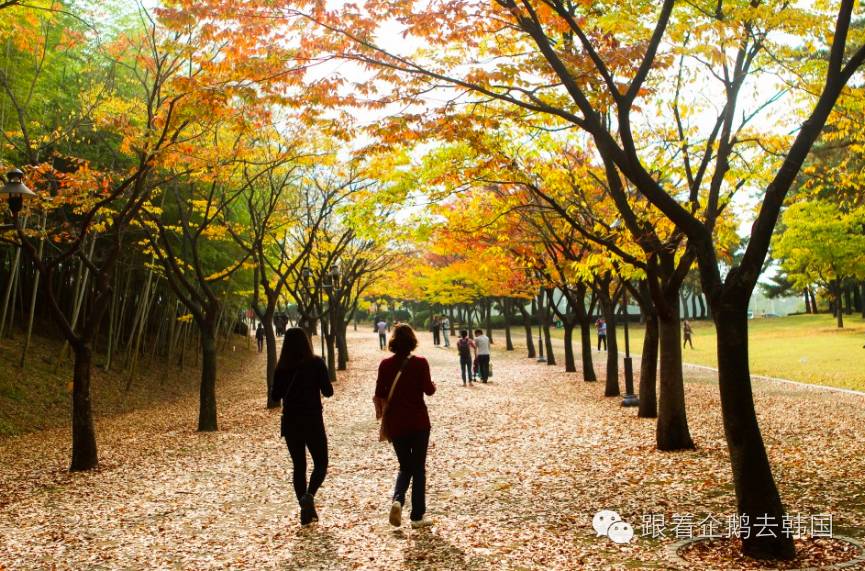 小清新不一样,小清新韩国女装