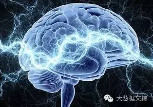 脑科学与类脑智能研究院专家,获批国家脑科学与类脑研究项目