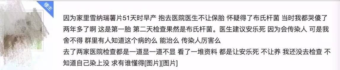 别让试纸草率地夺去猫狗的命！