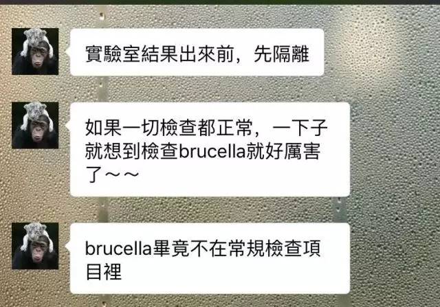 别让试纸草率地夺去猫狗的命！