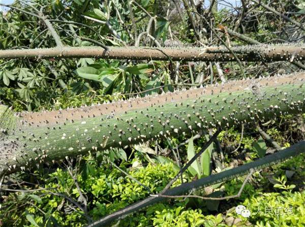 关注请不要嫉妒，这些“礼”只有他们才能收!