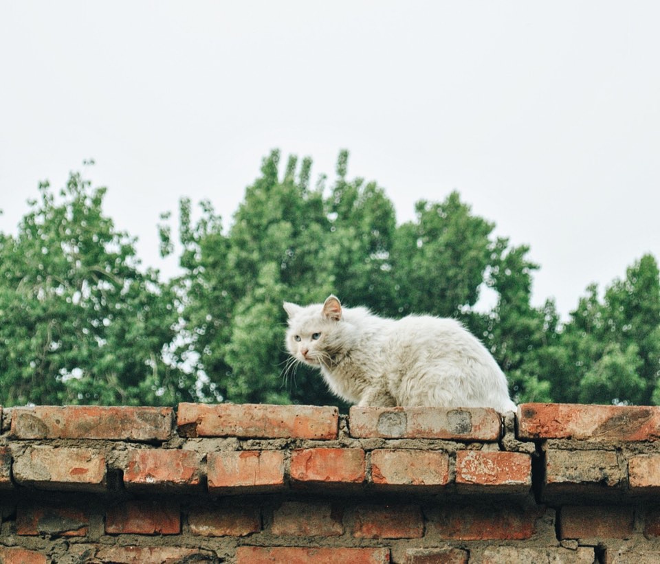 豆瓣相册列表,豆瓣相册上传高清图