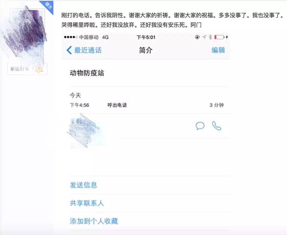 别让试纸草率地夺去猫狗的命！