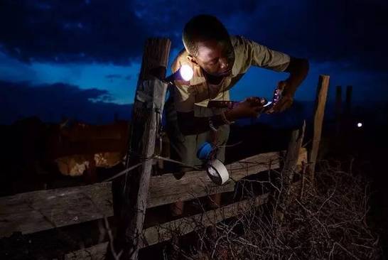 不懂常识是书呆子吗,有人说认真学习的是书呆子怎么怼