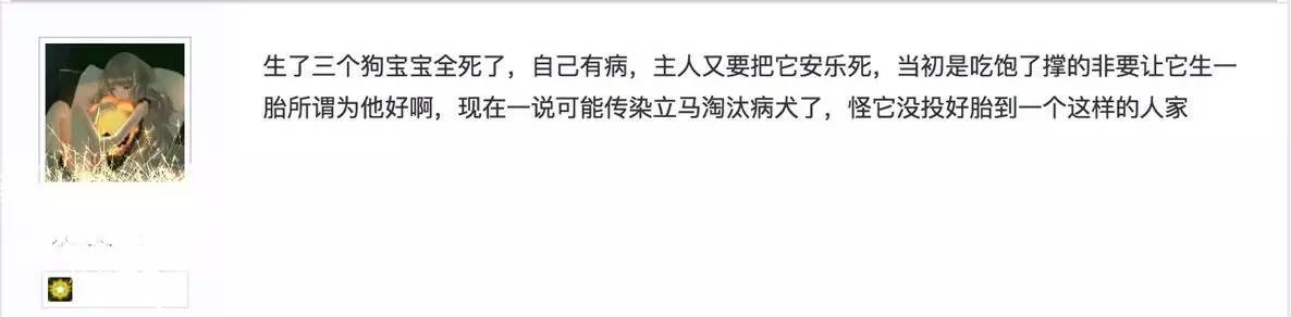 别让试纸草率地夺去猫狗的命！