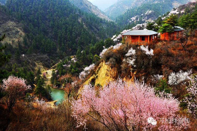 荐读际山枕水万柏林，钟林毓秀河之西（四）