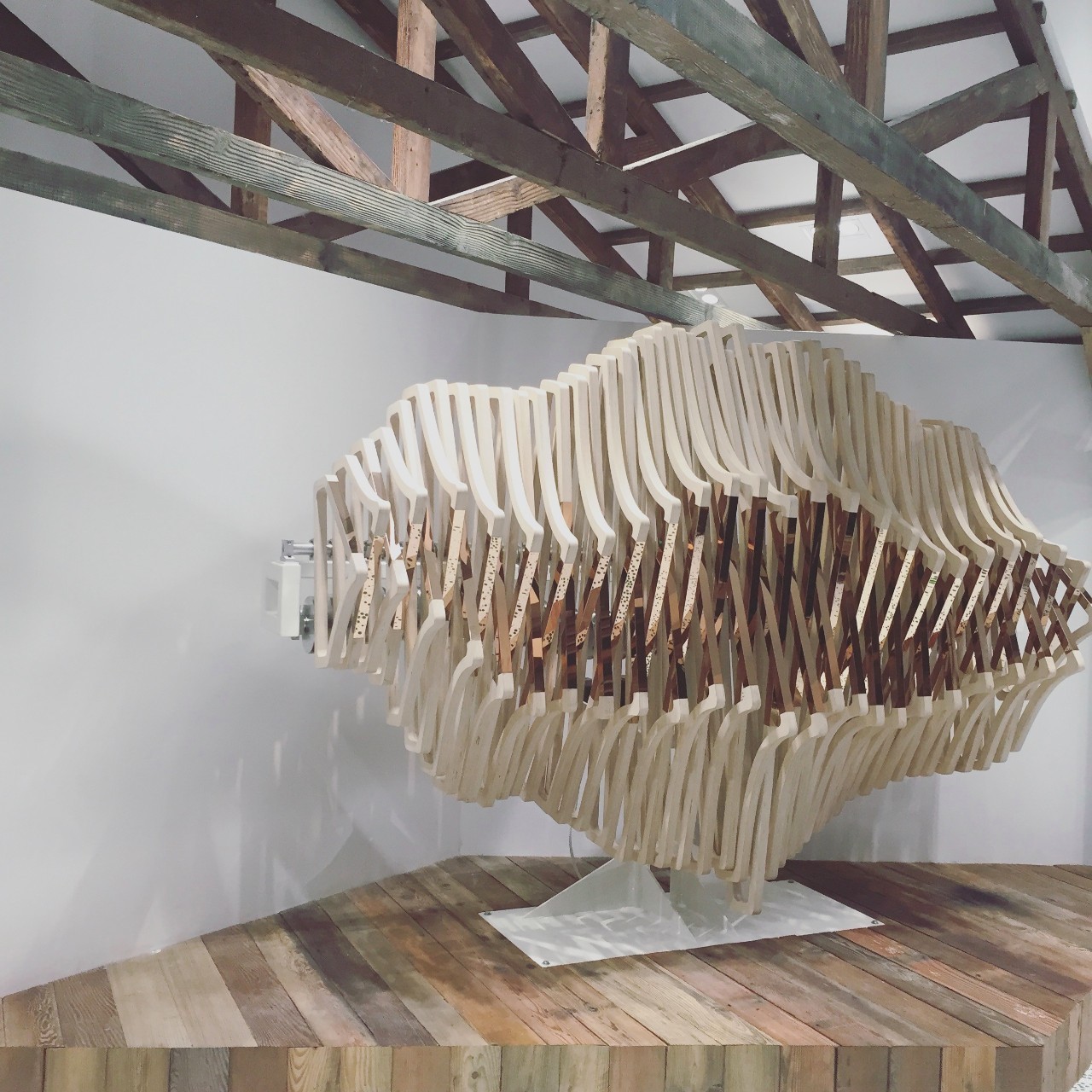 上海citywalk买买买,上海citywalk逛街路线