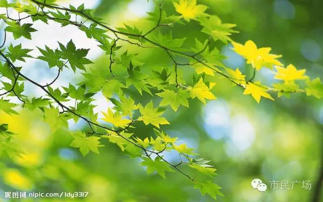 归来侃濮阳：这里有你信任的人吗？