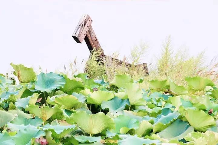 武汉周边打卡拍照圣地,武汉适合女生拍照打卡的地方