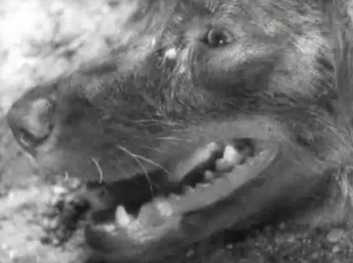 日本历史上十大经典片,日本公认的第一神片