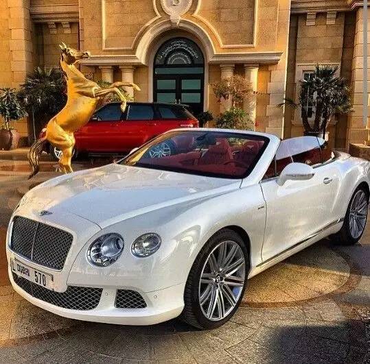 去迪拜旅游是落地签吧,迪拜必买表