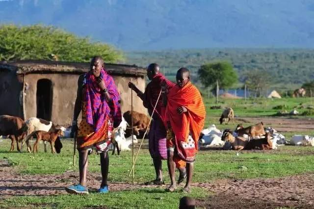 不懂常识是书呆子吗,有人说认真学习的是书呆子怎么怼