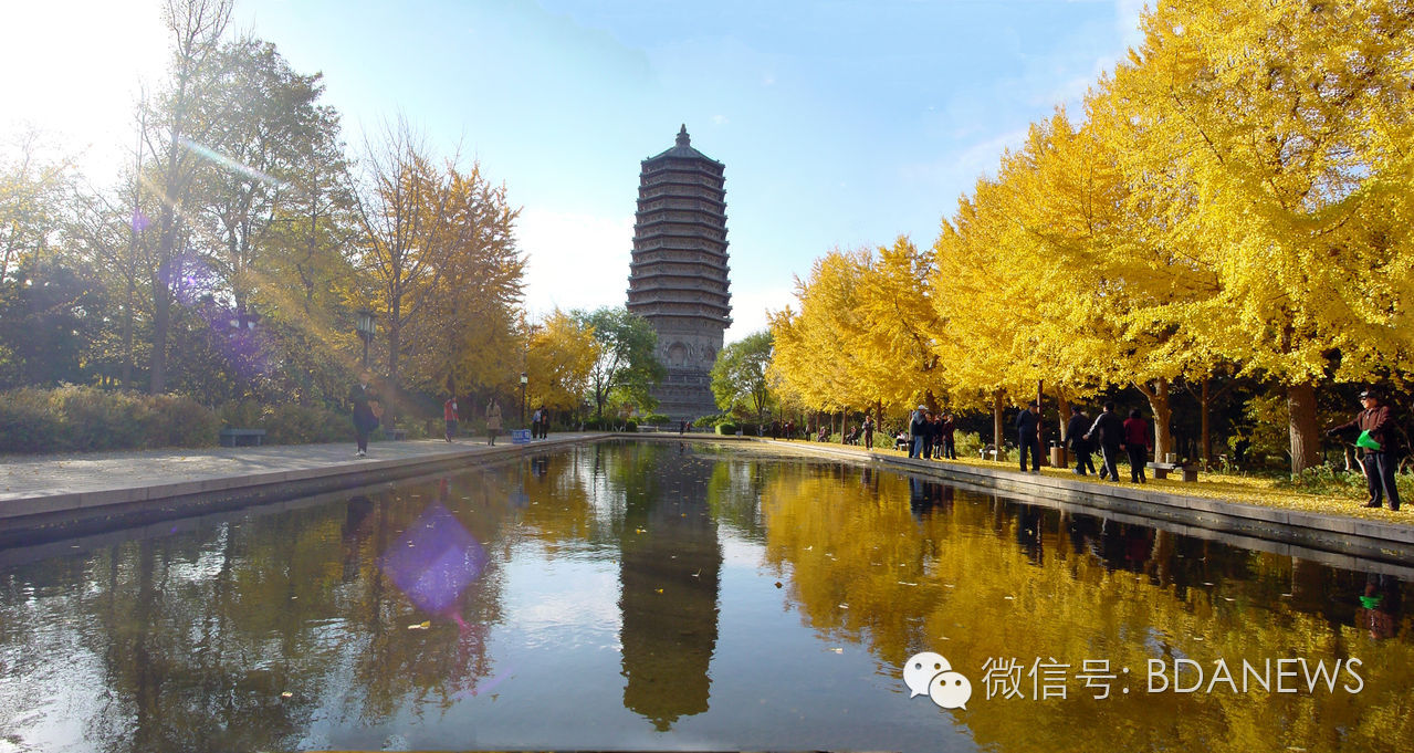 亦分享金秋迎佳节，游园品文化，全市文化活动风景区任你嗨~~