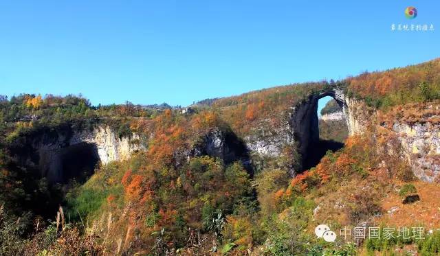 寻找一抹秋色,寻找不一样的质感