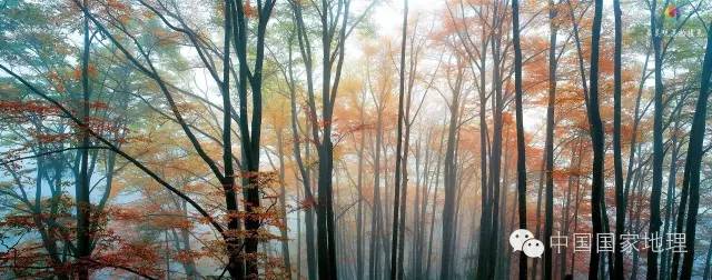 寻找一抹秋色,寻找不一样的质感