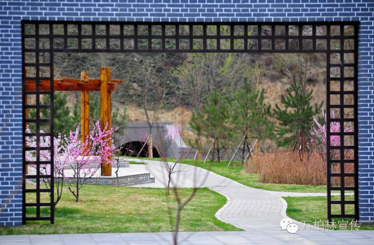 荐读际山枕水万柏林，钟林毓秀河之西（四）