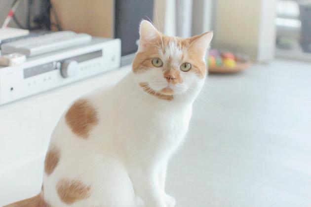 3E走上历史舞台，宣示它的时代已经到来