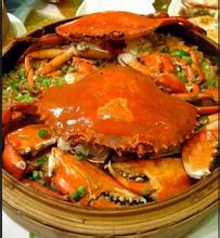 三亚慢游攻略,三亚慢生活视频